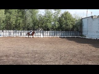 free гнездина валерия на лошади по кличке водопад молодые кск аллюр hd