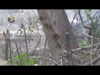 free сирия июнь 2014 млиха провинция дамаск попадание в т 72 из рпг м 79 оса hd