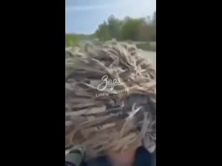 free всушники пытаются быстро отступить но в результате падают в реку hd