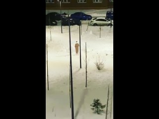 free нам пишут доброй ночи во дворе дома 124к 1 папа построил с ребятами советуювсё делать точно таккак делает старуха по hd