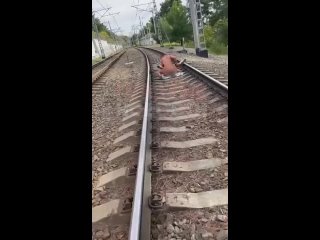 free в сочи парочка не удержалась и начала заниматься сексом прямо на жд путях hd