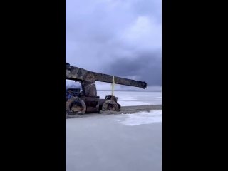 free вот так аппарат просто мощь ещё и так вальяжно едет hd