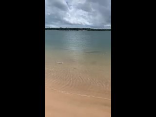free тот самый день когда наконец то вырвался на побережье чтобы вдоволь накупаться hd