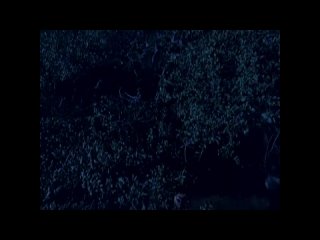 free большой плохой волк волк оборотень big bad wolf 2006 лицензия public40911932 hd