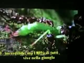 free доктор симончини рак это грибок сода натуральный антибиотик hd