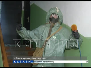 free костюм химзащиты не спас журналиста от нападения одичавшей кошки в квартире молодые плюшкиной hd