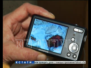 free чтобы защитить мать 18 летний молодые зарезал отчима hd