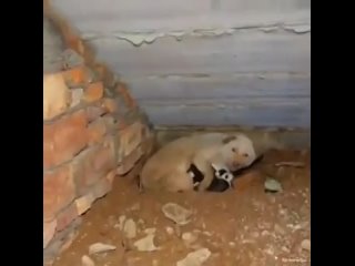 free мужчина проходил мимо не удержался и решил купить новую кроватку дня новорождённых молодые и их мамы hd