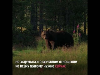 free как людям жить без вреда для природы после окончания эпидемии hd