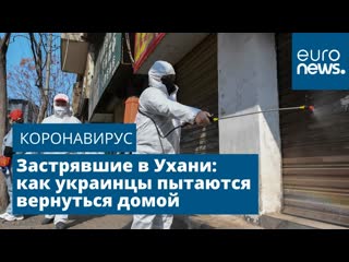 free мы будто первые с конца как украинцы пытаются улететь из ухани hd