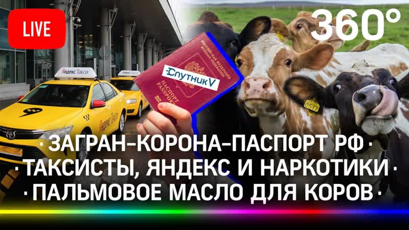 free загран корона паспорт рф таксисты яндекс и молодые пальмовое масло для коров hd