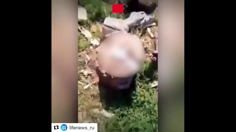 free видео строго 18 жесть из алтайского края разошлите всем пусть знают этих мразей repost lifenews ru в алтайском кр hd