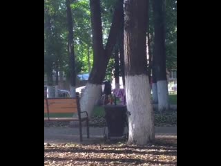 free в общественном парке на улице керамзаводагде гуляют молодые справляют свои нужды прямо у лавочке никого не стесняясь hd