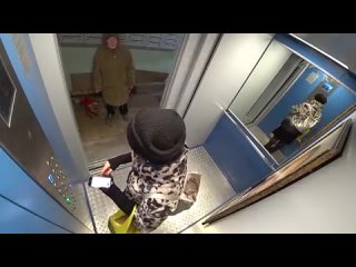 free по данным вциома рейтинг доверия российскому лидеру составляет 75 а что если понаблюдать за людьми с помощью скрытой hd