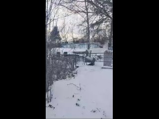 free опасно ли кладбище зимой зимний погост методы работы с зимним погостом некромантия hd