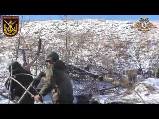 free бойцы 9 бригады при поддержке дронов камикадзе ударных бла и артиллерии заняли позицию противника и захватили пленных hd