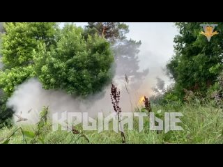 free вот так мы встречали недругов с огоньком надеюсь все понимают что рсзо бьёт по площади так что чем большие толпы hd