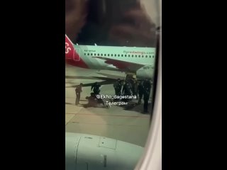 free долгожданные кадры с задержаниями погромщиков прямо на взлетной полосе аэропорта махачкалы hd