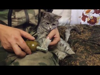 free от подписчиков обучающий урок по обращению с ручной гранатой ргд 5 четвероногой разведчицы с позывным синя всего два hd