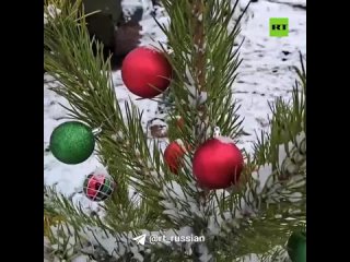 free идёшь мимо ёлочки чтоб посмотреть на неё чуть чуть душой отдохнуть окунуться в домашнюю обстановочку бойцы вдв готовя hd