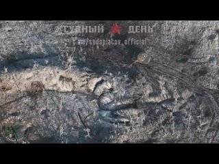 free новые кадры уничтожения укронацистов fpv дронами вт 40 укропы это вам не по мирным ракетами долбить пора ответку hd