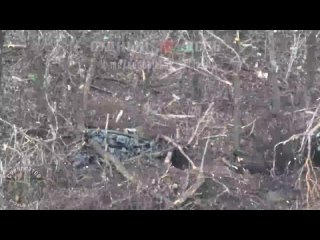 free судный день к вам мчится скоро всё случится доброе утро страна fpv расчеты вс рф продолжают уничтожение врага дронами hd