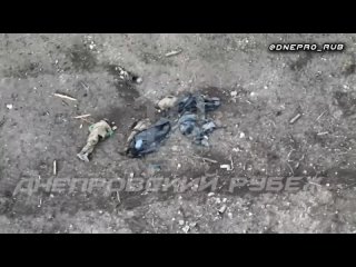 free группироа войск днепр херсонское направление 07 01 2024 г цена небольшого плацдарма на левом берегу днепра а еще скол hd