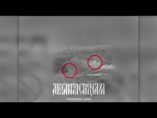 free ночные перемещения редко заканчиваются успехом оппонент старается ходить двойками чтобы в случае ранения один смог hd