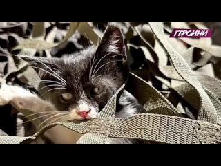 free самая сильная девушка в мире рассказывает правду об сво марьяна наумова была самой сильной девочкой на планете она hd