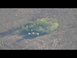 free минобороны рф опубликовало кадры поражения пу и рлс trml 4d немецкой зрк iris t slm всу в зоне сво удар hd
