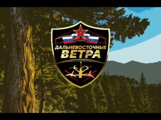free уничтожение автотранспорта с личным составом блиндажей и ретрансляторов всу с помощью fpv дронов hd