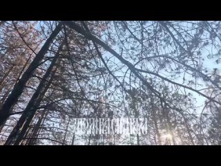 free полетели наши крылатые архангелы отрабатывать по врагу парням удачи и скорейшего возвращения архангел спецназа hd