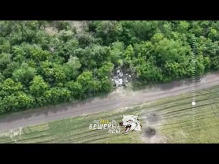 free поражение авто всу с бк расчетом бла бригады бешеные псы авдеевское направление бешеные псы hd