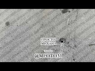free украинские формирования обстреляли центральный рынок в шебекино в результате прилета пострадали шесть человек пятеро hd