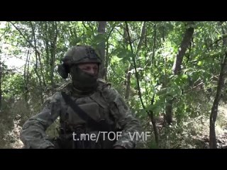 free тихоокеанский морпех вал и его птички практически стопроцентная результативность регулярно поражаются опорники и hd