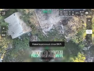 free оставляем всушников без связи тарелка starlink попала в фокус нашего внимания к сожалению ветер помешал отработать hd