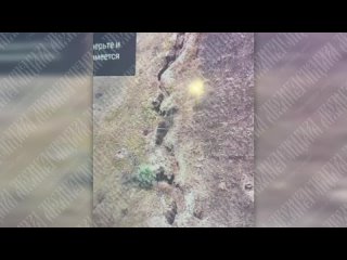 free часов ярское направление ежедневно выискиваем новые цели и поражаем их архангел спецназа hd