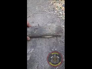 free от бойцов внимание всем военослужащим в зоне сво обязательно к просмотру новый вид минирования от хохлов максимал hd