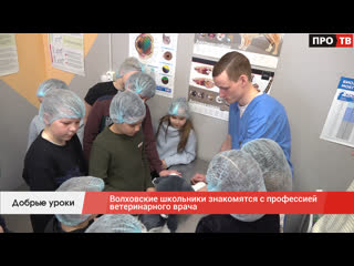 free добрые уроки волховские школьники знакомятся с профессией ветеринарного врача hd