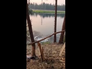 free и этот тарзаночник все таки не остался целым hd