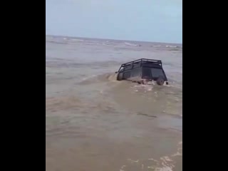 free слабоумие и отвага ведут чью то жопу к приключениям hd