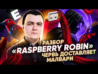 free малварь raspberry robin фатальный разбор hd