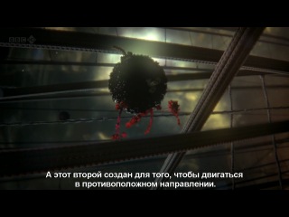 free bbc внутренняя вселенная тайная жизнь клетки our secret universe the hidden life of the cell 2012 hdtvrip hd