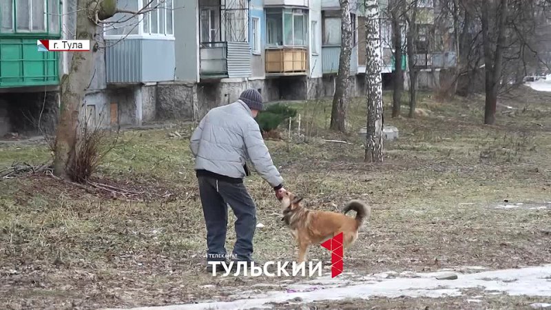 free мама 18 летнего ребенка против хозяйки молодые в туле суд вынес решение по громкому делу hd