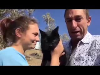 free нашёлся котик через неделю после пожара vhs video hd