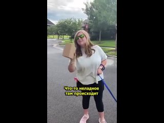 free женщина ворует почту у соседа потому что он получает слишком много посылок vhs video hd