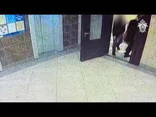 free дарья трепова заходит в подъезд дома на улице федора абрамова hd