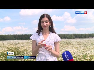 free местное время воскресенье 3 июля 9 июля 2023 года hd