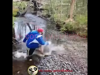 free видео от жестокая реальность аморальный грязный юмор hd