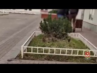 free безработного мигранта задержали в питере за переписку интимного характера с молодые hd
